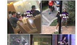 新闻爆料囚鸟,揭秘囚禁鸟类的残酷现实